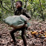 As 7 marcas de chocolate que utilizam trabalho escravo infantil