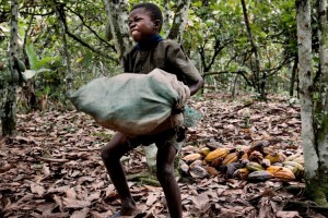 As 7 marcas de chocolate que utilizam trabalho escravo infantil