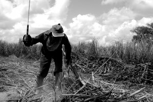 Trabalhador rural da zona canavieira de Alagoas, Brasil, em outubro de 2006. Foto: Cícero R. C. Omena/Flickr