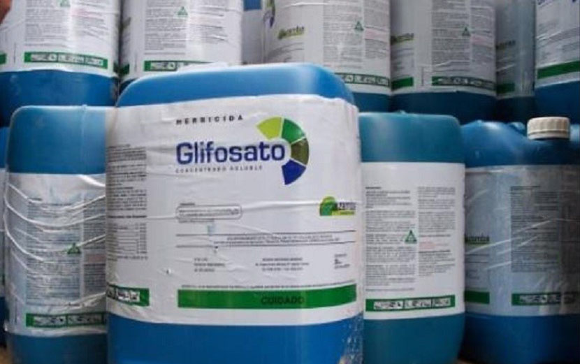 Governo Temer e setor dos agrotóxicos tentam impor liberação do glifosato
