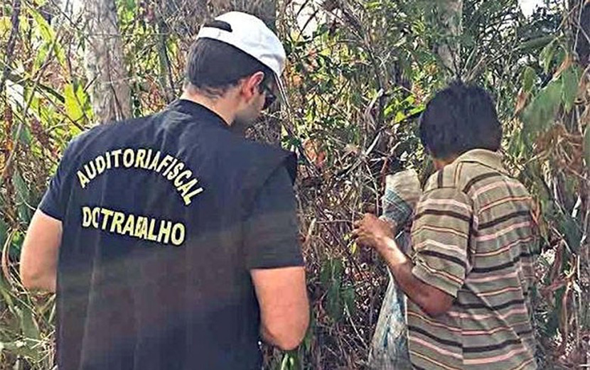 Autonomia da inspeção do trabalho, responsável entre outras funções pelo combate ao trabalho escravo, está ameaçada