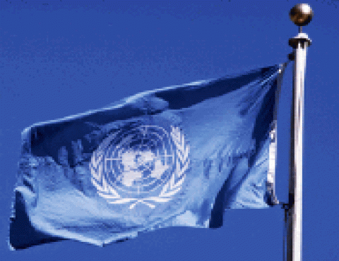 Futuro da ONU será marcado por parcerias, diz Ban