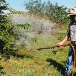 Crianças estão entre as principais vítimas dos efeitos nocivos dos agrotóxicos