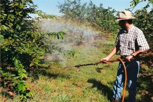 Crianças estão entre as principais vítimas dos efeitos nocivos dos agrotóxicos