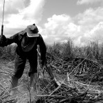 ONU manifesta preocupação com PL que altera conceito de trabalho escravo no Brasil