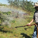 Idec quer banir agrotóxico com componentes do ‘agente laranja’