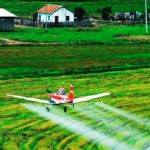 Agenda da Agricultura com Monsanto sugere aprovação do ‘Pacote do Veneno’