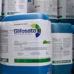 Governo Temer e setor dos agrotóxicos tentam impor liberação do glifosato