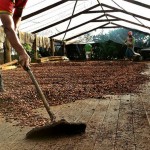 Fome no mundo aumenta devido à especulação financeira; entenda