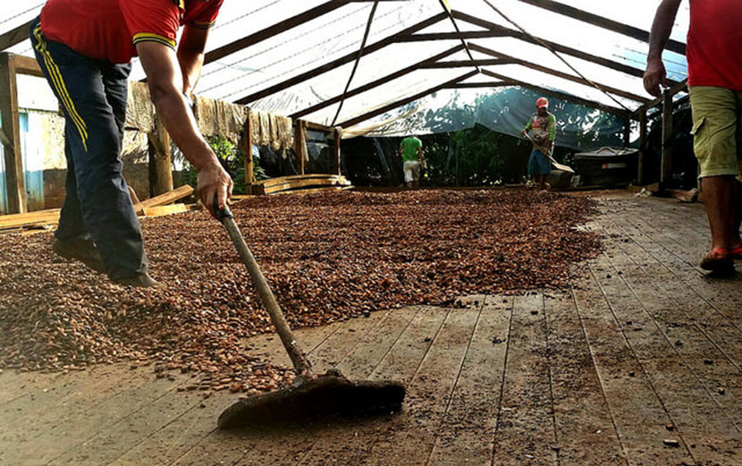 Fome no mundo aumenta devido à especulação financeira; entenda